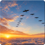 Zugvögel in V-Formation vor einem Sonnenuntergang